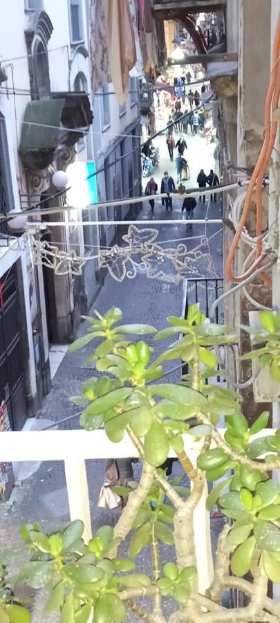 Casa San Biagio 1964 Spaccanapoli Daire Dış mekan fotoğraf